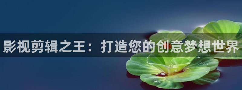 嫩草草影院在线观看：影视剪辑之王：打造您的创意梦想世界