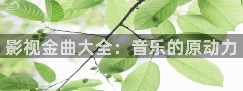 嫩草影院在线看：影视金曲大全：音乐的原动力
