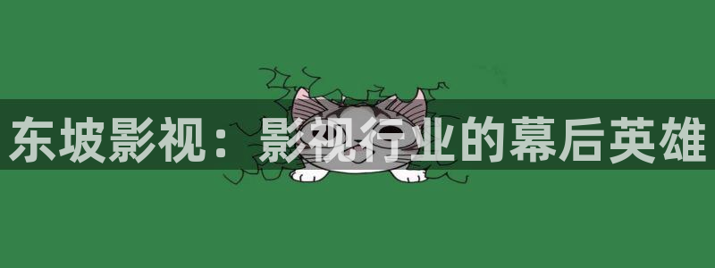 99久久嫩草影院：东坡影视：影视行业的幕后英雄