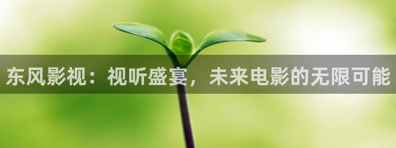 嫩草视频aa：东风影视：视听盛宴，未来电影的无限可能