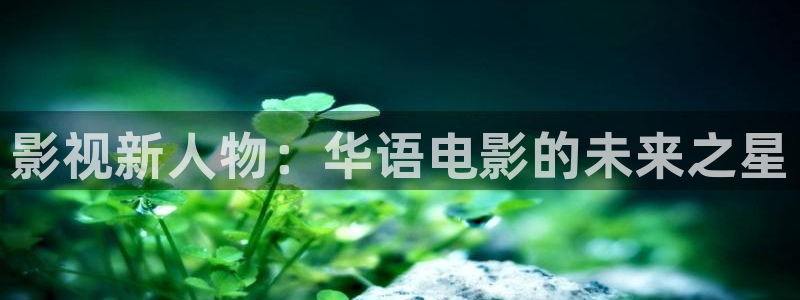 嫩草大影院：影视新人物：华语电影的未来之星
