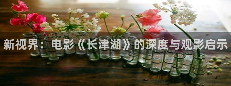 91久久偷偷做嫩草影院电：新视界：电影《长津湖》的深度与观影启示